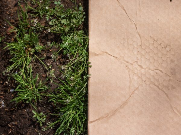 Cardboard lines the ground of the progressing community garden. As an extra precaution, volunteers plan to transfer additional soil to the garden for clean, contamination-free beds. (Angela Gervasi for WHYY)