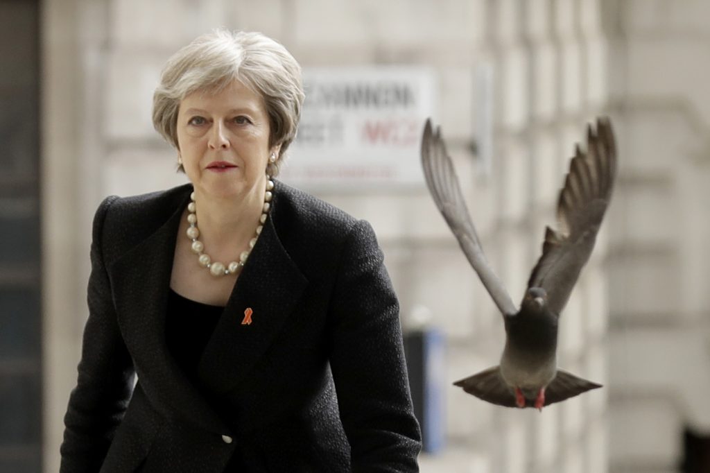 APTOPIX Britain Lawrence A pigeon takes off as Britain's Prime Minister Theresa May arrives to attend a Memorial Service to commemorate the 25th anniversary of the murder of black teenager Stephen Lawrence at St Martin-in-the-Fields church in London, Monday, April 23, 2018. (Matt Dunham/AP Photo)