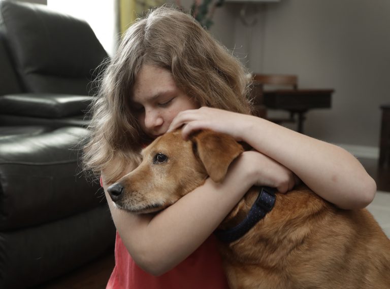 Sobie Cummings, 11, plays with her dog, Dallas, at the family's home in Waxhaw, N.C., Friday, March 29, 2019. A psychiatrist suggested that a service dog might help to ease Sobie’s crippling anxiety and feelings of isolation. But when they brought home a $14,500 Briard from Mark Mathis’ Ry-Con Service Dogs, Okami broke from Glenn Cummings' grasp and began mauling Dallas. (Chuck Burton/AP Photo)