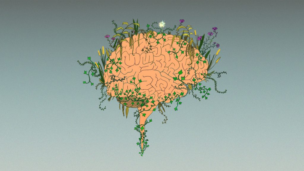 BNL_brain_compressed (Rose Conlon/Marketplace)