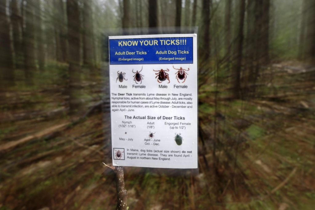 An informational card about ticks distributed by the Maine Medical Center  (Robert F. Bukaty/AP Photo)