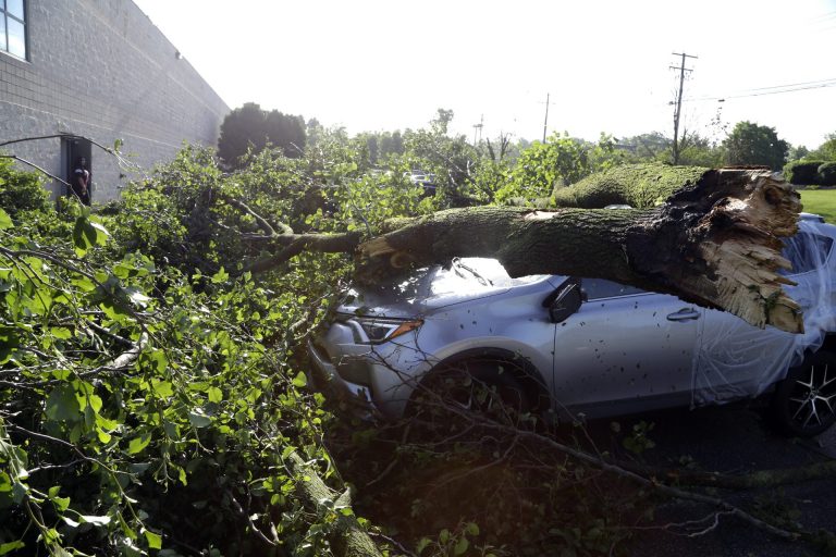 Downed tree limbs remain on cars outside a business Wednesday May 29, 2019 in Morgantown, Berks County. The National Weather Service says a tornado has been confirmed Tuesday in eastern Pennsylvania, where damage to some homes and businesses occurred, but there were no immediate reports of injuries. (Jacqueline Larma/AP Photo)