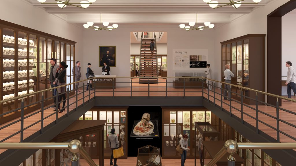 0872_N22 The Mütter Museum is getting a remodel. (Renderings courtesy of KieranTimberlake)