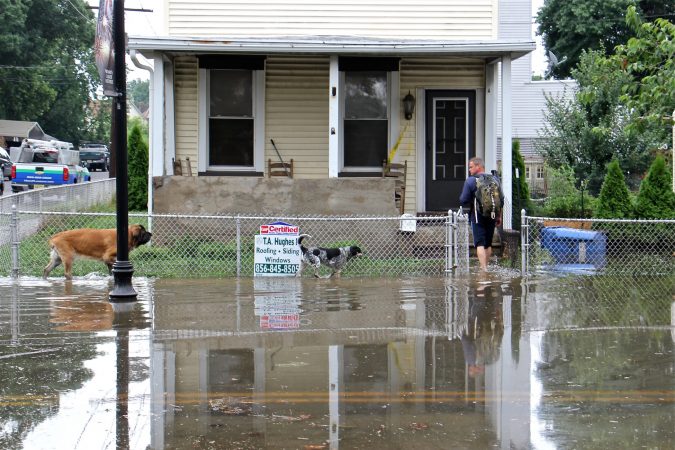 Michael Hess leads his dogs home through the floodwaters on Broadway in Westville, N.J. (Emma Lee/WHYY)