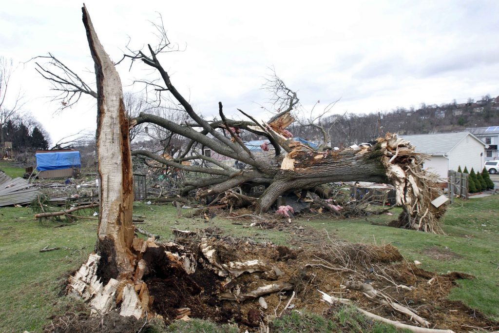 AP_110324032504-1920×1280 A large tree lays uprooted past the hole where it came from in a yard as people continue cleanup efforts, Thursday, March 24, 2011 in Hempfield, Pa. Severe storms went through the Westmoreland County area on Wednesday March 23, 2011, causing severe damage. The National Weather Service has confirmed that a tornado was responsible for destroying 30 homes and badly damaging about 60 more in western Pennsylvania. (Keith Srakocic)