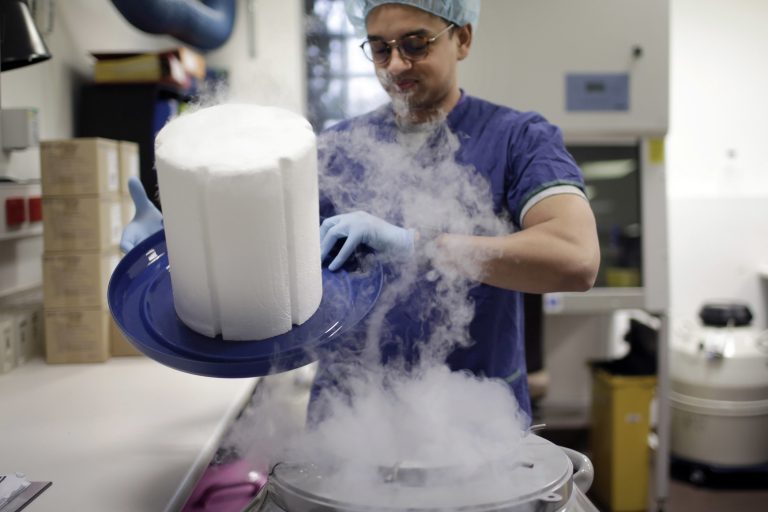 A scientist opens the lid of a cryotank containing donor sperm samples in an IVF clinic