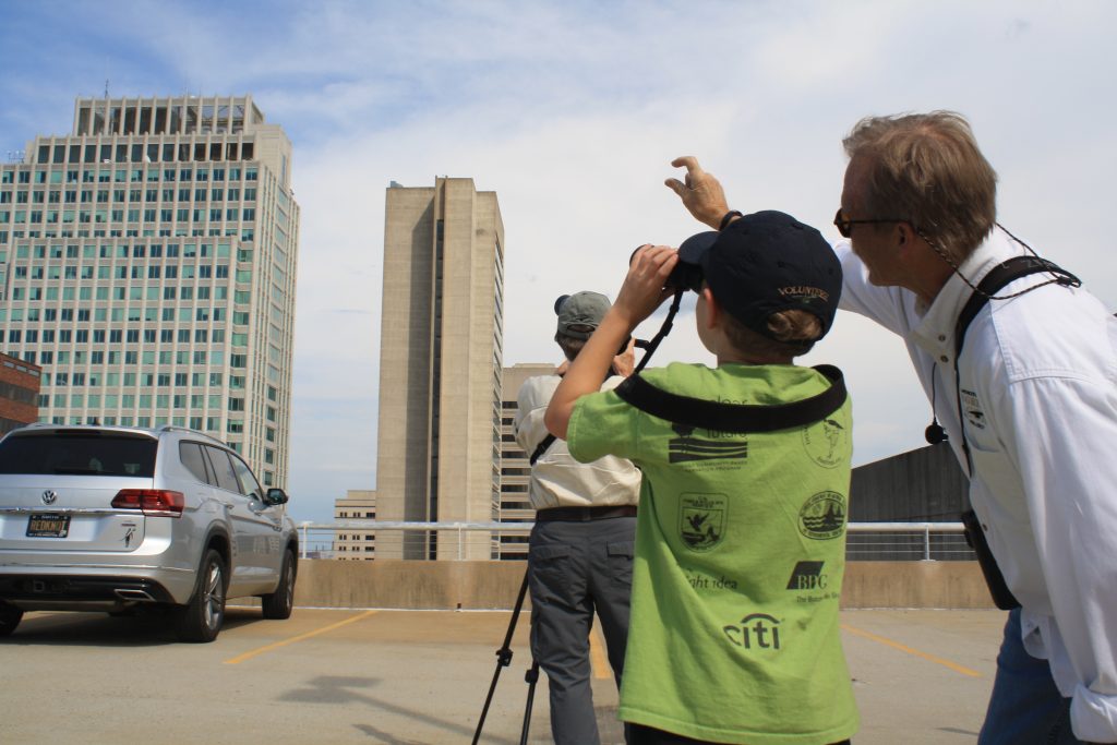 Bill Stewart of the Delaware Ornithological Society shows a young bird watcher where to see a falcon roosting on top of a building in downtown Wilmington. (Mark Eichmann/WHYY)
