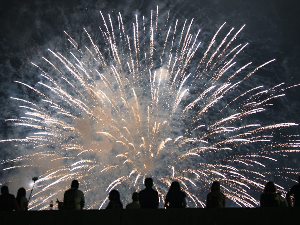 Even birds who are accustomed to urban noises can be spooked by the boom of fireworks, take off and crash into trees, cars and buildings. (Craig Ruttle/AP Photo)