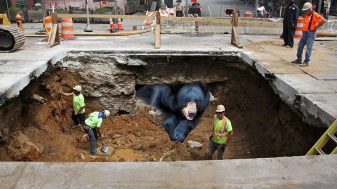 bear-sinkhole (Billy Penn illustration)