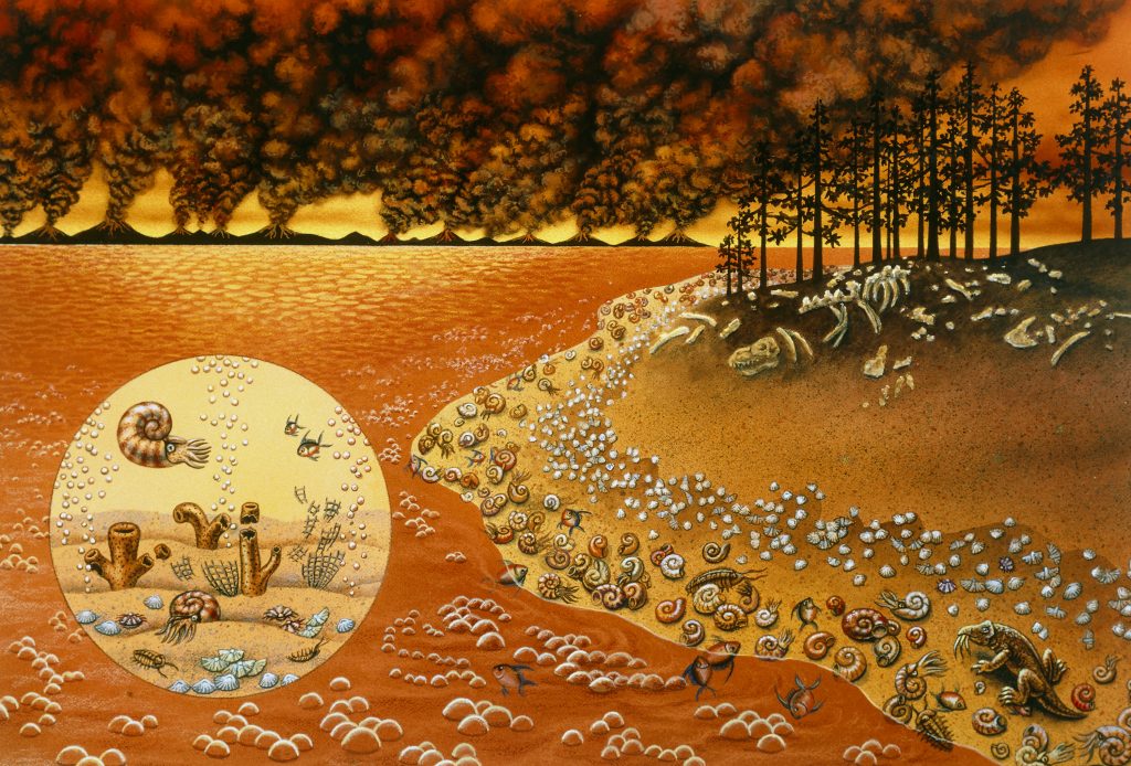 An artist’s rendering of the mass extinction of life that occurred toward the end of the Permian Period, about 250 million years ago. An artist's rendering of the mass extinction of life that occurred toward the end of the Permian Period, about 250 million years ago. (Lynette Cook/Science Source)