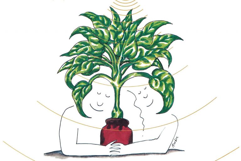 Detail from the cover art of Mort Garson's cult electronic album, Mother Earth's Plantasia. (Sacred Bones Records)