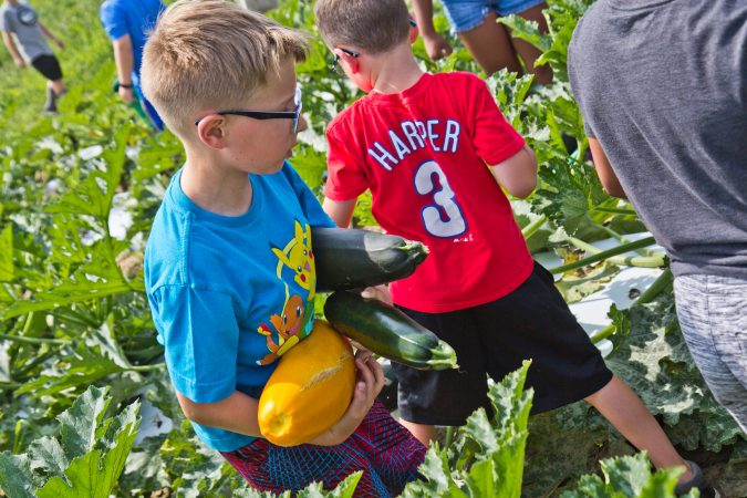 3rd grader Nathan Barnes carries squash at Duffield’s Farm. (Kimberly Paynter/WHYY)