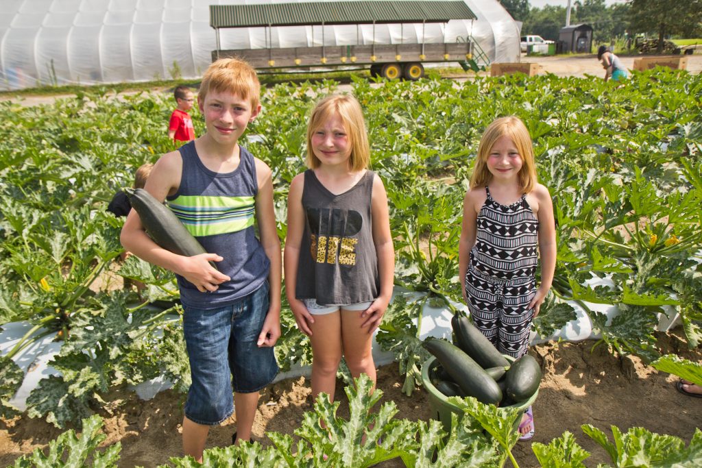 2019 07 09 k paynter squash picking-6 (From left) Jesse, Charolette and Willow Laux pick squash for communities in need at Duffield’s Farm. (Kimberly Paynter/WHYY)