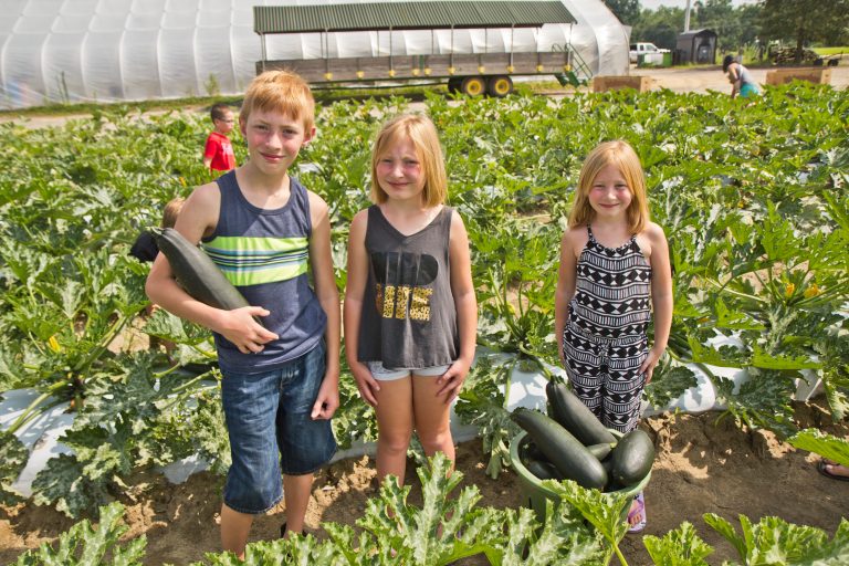 (From left) Jesse, Charolette and Willow Laux pick squash for communities in need at Duffield’s Farm. (Kimberly Paynter/WHYY)