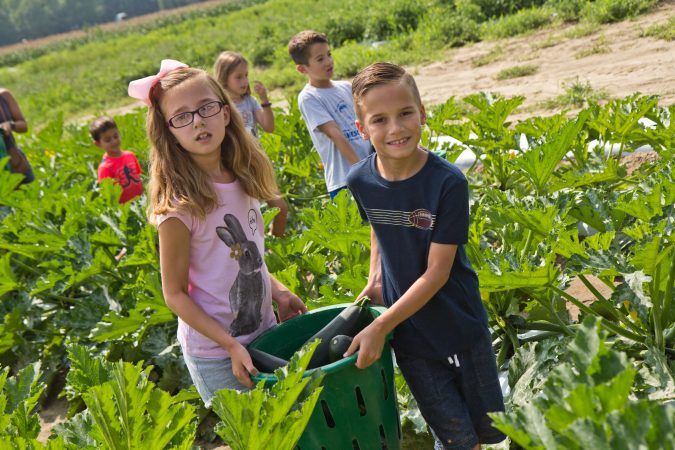 Sophia and Frank Sadowski pick squash for communities in need at Duffield’s Farm. (Kimberly Paynter/WHYY)