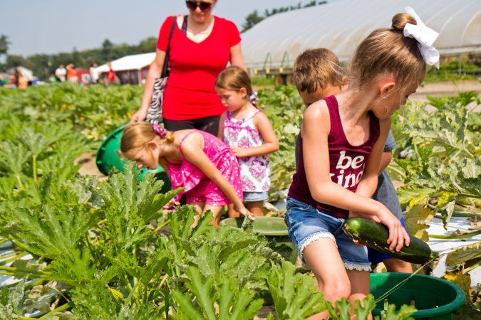 3rd graders from Washington Township in South New Jersey picked squash at Duffield's Farm for communities in need Wednesday morning. (Kimberly Paynter/WHYY)