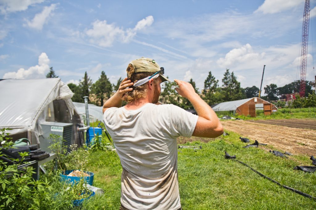 2019 07 17 k paynter farm heat waves Adrian Galbraith-Paul is the manager of Heritage Farm in Philadelphia. (Kimberly Paynter/WHYY)