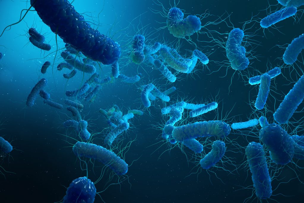 Enterobacterias Gram negativas Proteobacteria, bacteria such as salmonella, escherichia coli, yersinia pestis, klebsiella. 3D illustration. Enterobacterias Gram negativas Proteobacteria, bacteria such as salmonella, escherichia coli, yersinia pestis, klebsiella. 3D illustration