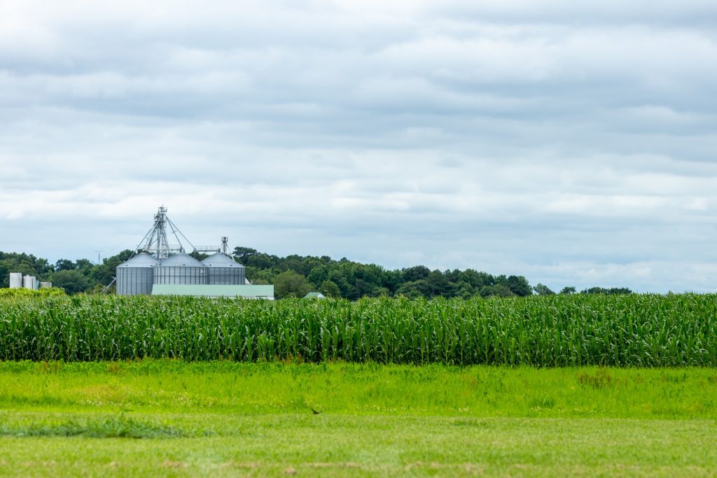 TS Smith Farm T.S. Smith & Sons farm in Bridgeville, Delaware is one of nearly 1,000 farms preserved from development throughout the state. (Courtesy of the Delaware Department of Agriculture)