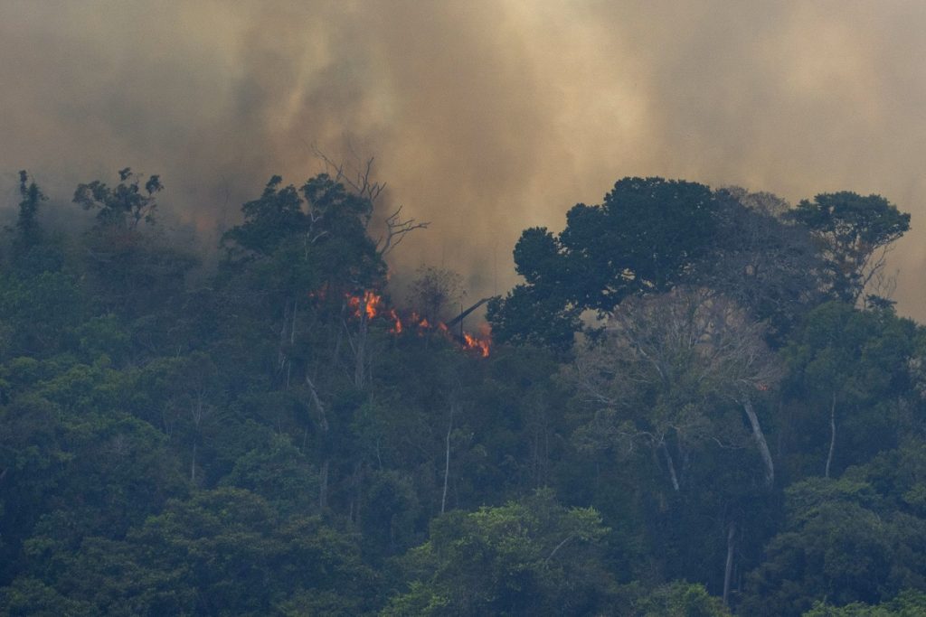 Brazil Amazon Fires Fire consumes the jungle near Porto Velho, Brazil, Friday, Aug. 23, 2019. Brazilian state experts have reported a record of nearly 77,000 wildfires across the country so far this year, up 85% over the same period in 2018. Brazil contains about 60% of the Amazon rainforest, whose degradation could have severe consequences for global climate and rainfall.(AP Photo/Victor R. Caivano)