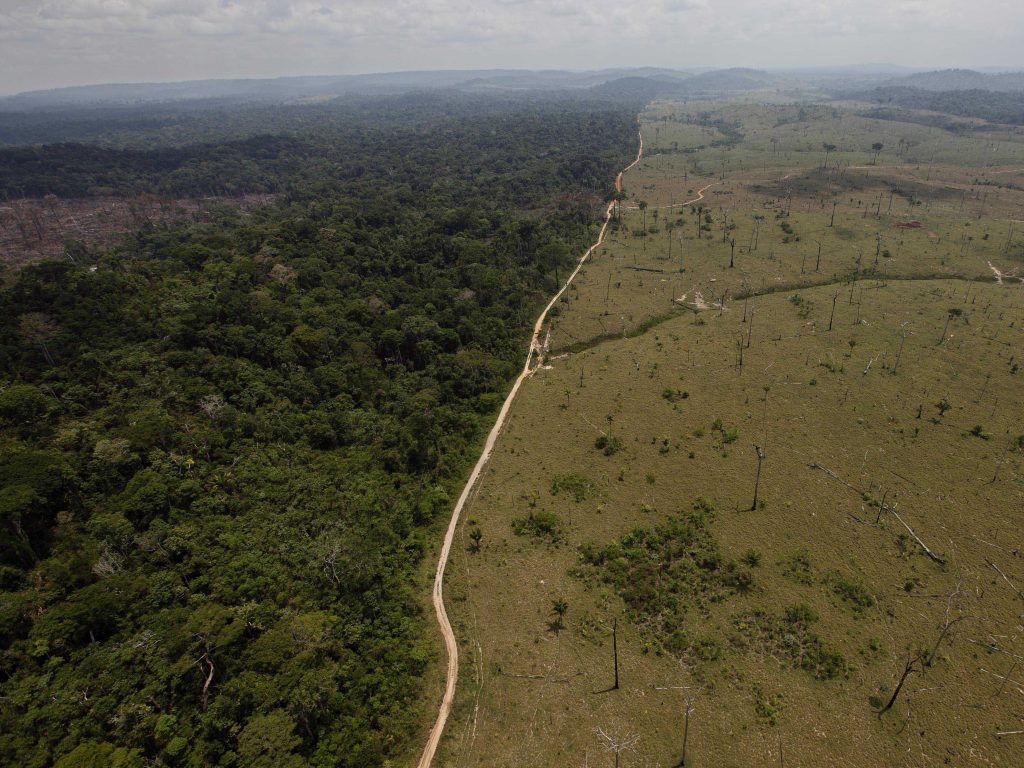 Large swaths of forest have been cut down in Brazil in recent decades to make room for farming. Deforestation contributes to global warming, and reversing it will be necessary to avoid catastrophic climate change. Large swaths of forest have been cut down in Brazil in recent decades to make room for farming. Deforestation contributes to global warming, and reversing it will be necessary to avoid catastrophic climate change (Andre Penner/AP Photo)