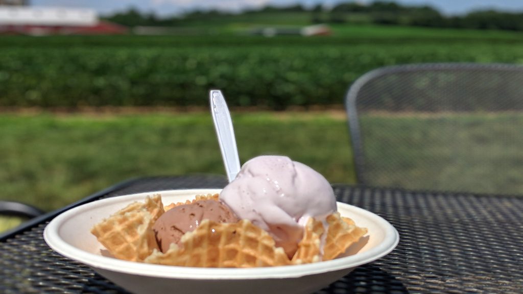 icecream-lancaster Wilbur chocolate and honeyed lavender ice cream at Fox Meadows Creamery in Ephrata, Pa. SARAH ANNE HUGHES / BILLY PENN