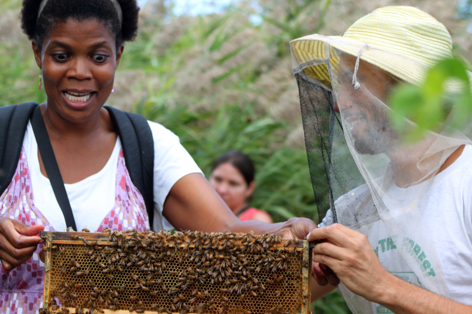 2017_HoneyFest__4064_9729554609_SaraPlonksi (Honey Festival/Sara Plonksi)