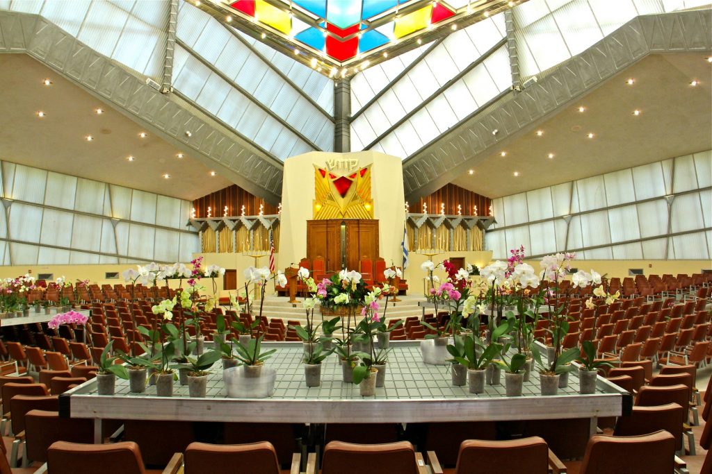 2019 09 11-e lee-elkins park beth shalom synagogue-david hartt art installation Visual artist David Hartt has installed an exhibit at Beth Sholom Synagogue in Elkins Park, designed in the 1950s by architect Frank Lloyd Wright. The exhibit includes tropical plants along with videos, tapestries, and music. (Emma Lee/WHYY)