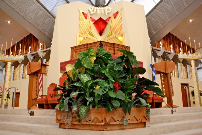 David Hartt has placed tropical plants in existing containers usually filled with plastic plants. (Emma Lee/WHYY)