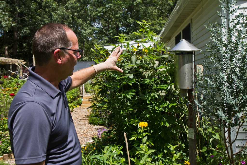 2019 09 17 kpaynter cmcmc-11 Peter Bosak, superintendent of the Cape May County Department of Mosquito Control, explains how mosquitos are trapped. (Kimberly Paynter/WHYY)