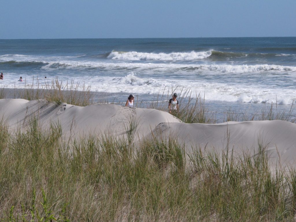 This Sept. 20, 2019 photo shows some of the sand dunes in Stone Harbor, N.J. (Wayne Parry/AP Photo)