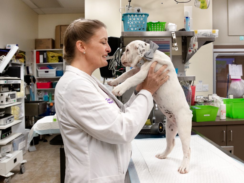 Seeing dogs all day has its perks, veterinary neurologist Carrie Jurney says. But it also has downsides, including stress, debt, long hours and facing online harassment. Seeing dogs all day has its perks, veterinary neurologist Carrie Jurney says. But it also has downsides, including stress, debt, long hours and facing online harassment. (Janet Delaney for NPR)