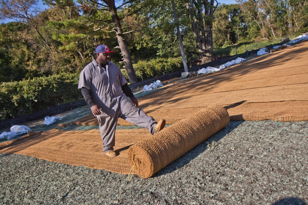 2019 10 03 k paynter superfund update shoot-6 A worker lays out coir matting, which is made of coconutfiber that will break down in 2-3 years, but protect hydro seed from water erosion. (Kimberly Paynter/WHYY)