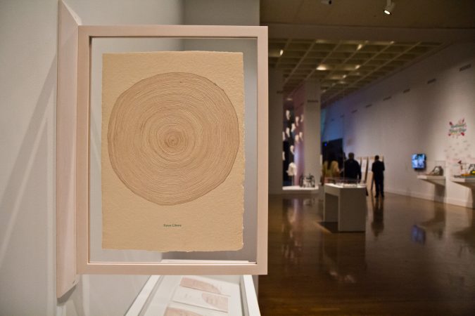 “The Future Library” is a public art project in Norway. 1000 trees were planted in 2014, and in 2114, manuscripts, one for every year, by popular authors will be published from harvest trees planted. (Kimberly Paynter/WHYY)