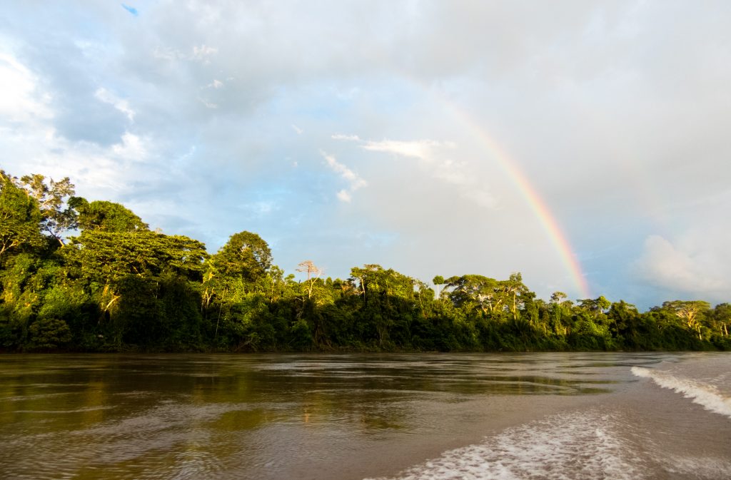 DSCN6861 Ecologists are tuning into the sounds of rainforests to study ecosystem health and biodiversity. (Image courtesy of Diego Balbuena)