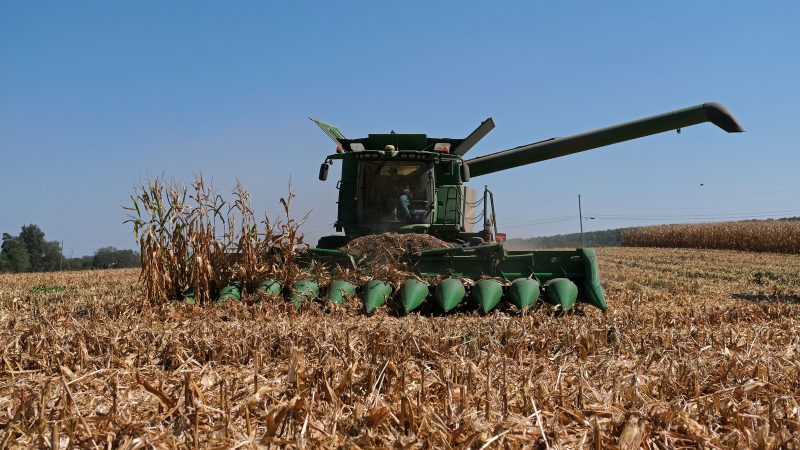 Derrick Weaver, of New Holland, drives a combine to harvest corn Sept. 25, 2019, at Cairns Family Farm in Sadsbury Township, Pennsylvania. (Matt Smith for Keystone Crossroads)