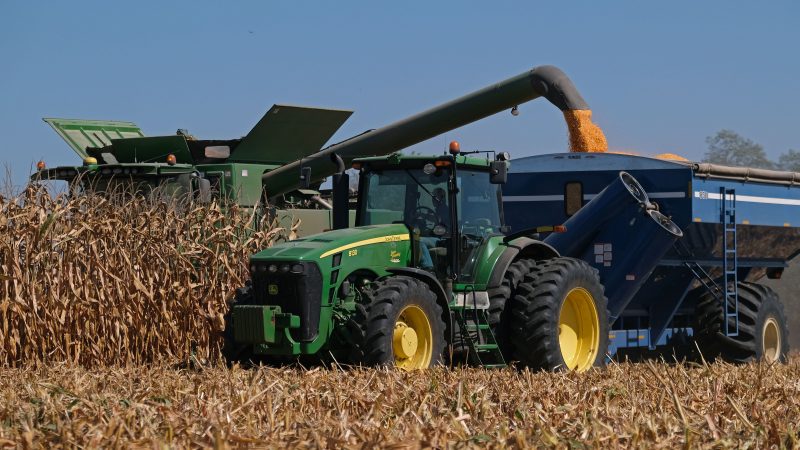 Derrick Weaver, of New Holland, drives a combine to harvest corn Sept. 25, 2019, at Cairns Family Farm in Sadsbury Township, Pennsylvania. (Matt Smith for Keystone Crossroads)