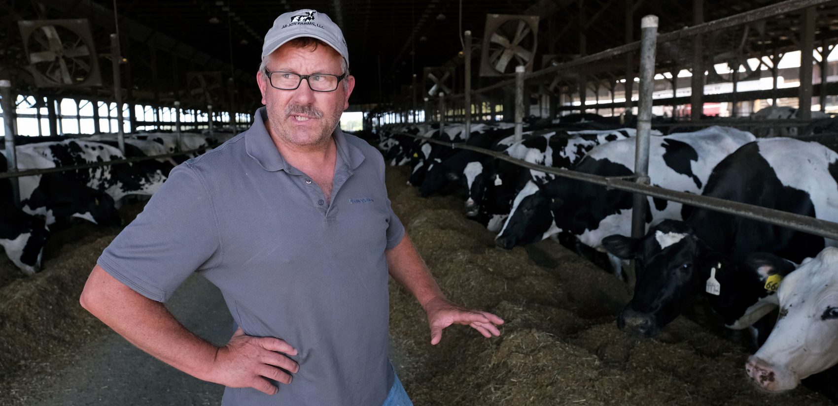 Dairy farmer Duane Hershey looks over his herd of cows Sept. 25, 2019, at Ar-Joy Farms in West Fallowfield Township, Pennsylvania. (Matt Smith for Keystone Crossroads)