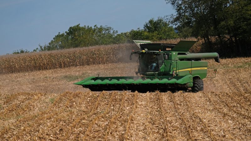 A farmer drives a combine to harvest corn Sept. 27, 2019, for Braucher Farms in Centre Township, Pennsylvania. (Matt Smith for Keystone Crossroads)