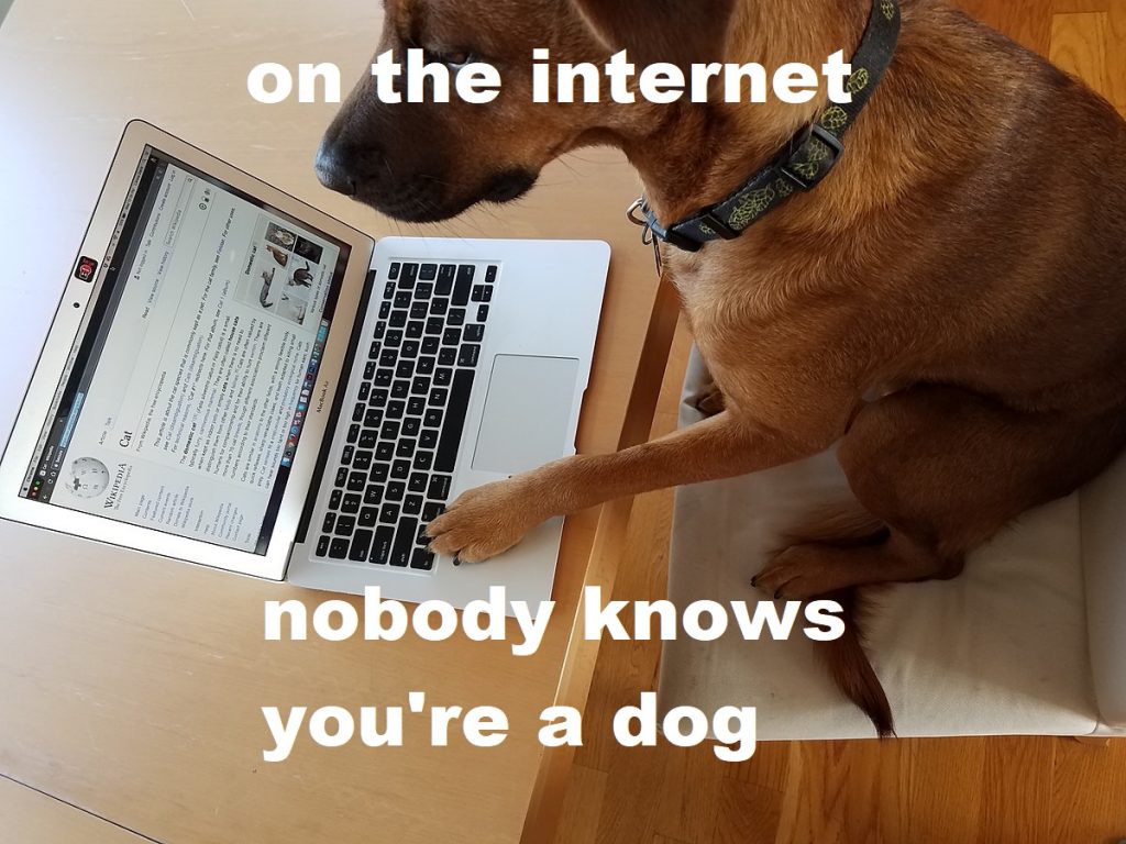 Dog_meme (Digimedcult/Wikimedia Commons)