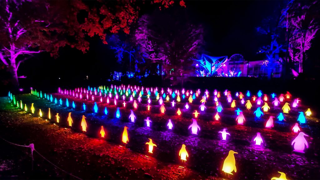 phillyzoo-luminatureholidaylights-25 LumiNature at the Philadelphia Zoo MARK HENNINGER / IMAGIC DIGITAL