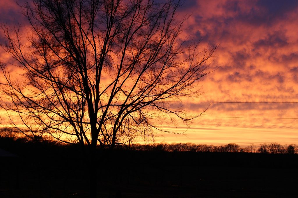 sunset-4009294_1920 (Public domain image)