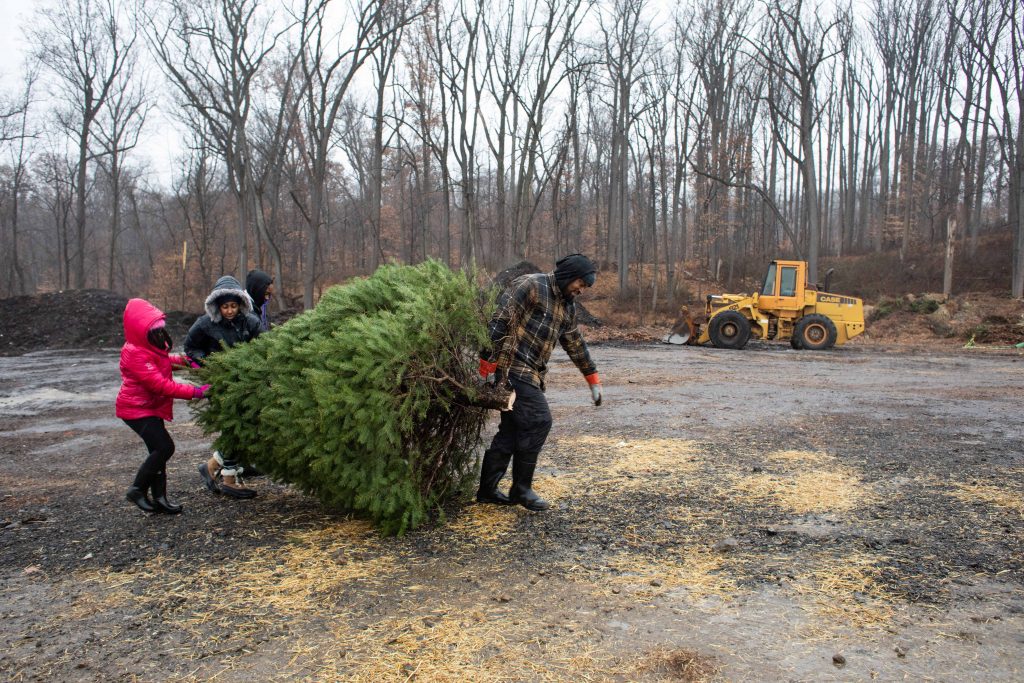 2019 12 01-b haydu-media pennsylvania linvilla orchards-christmas tree farm cutting-15 The Lynard family carries their Christmas tree at Linvilla Orchards in Media, Pennsylvania on Sunday. (Becca Haydu for WHYY)
