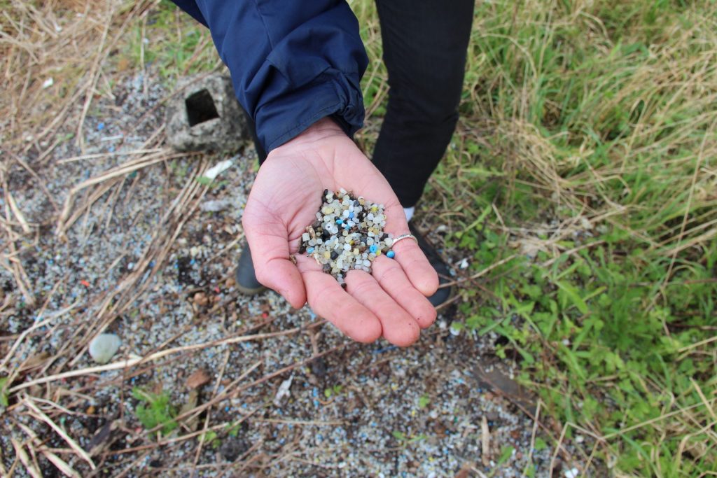 IMG_2334-1920×1280 Nurdles on Ferrycraigs Beach on the Firth of Forth, Scotland. (Reid R. Frazier/StateImpact Pennsylvania)