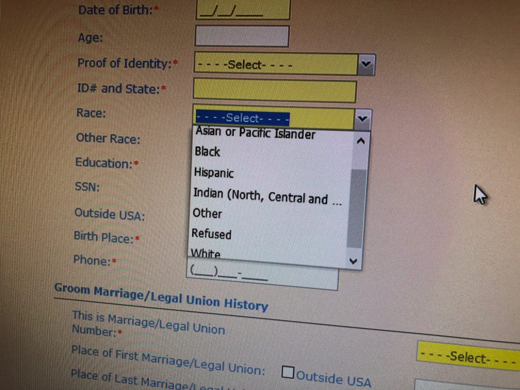 Marriage license applicants in Delaware are asked for their race when they appear at their county’s marriage bureau. This is screen shot of the computerized template that clerks fill out. (Cris Barrish/WHYY)