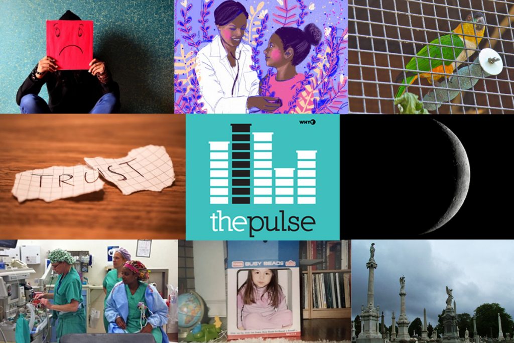best_of_pulse_collage (Collage: The Pulse/WHYY)