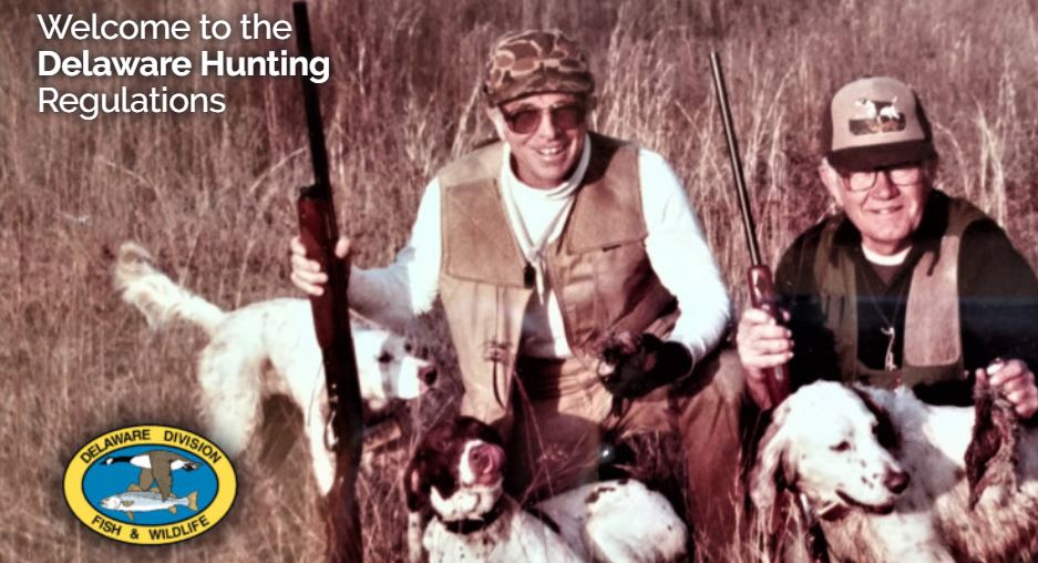 hunt A lawsuit says Delaware’s new hunting guide bans semi-automatic weapons from deer hunting, when the law does not. (State of Delaware)