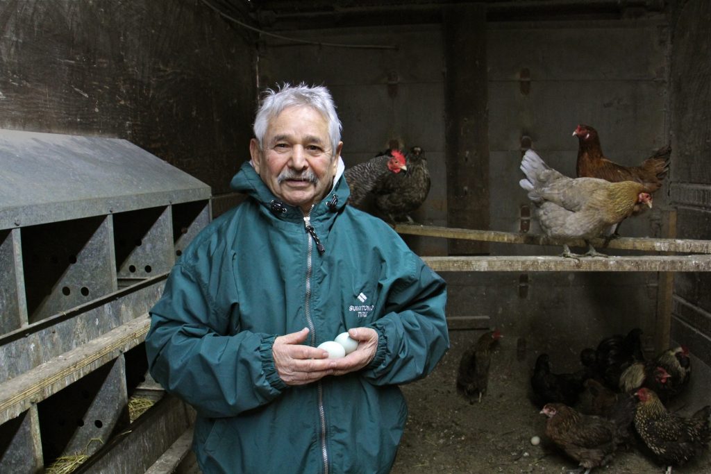 2020 01 08-e lee-kazem nabavi-philadelphia naz tire shop-iranian american Kazem Nabavi visits the chickens he keeps behind his tire shop in Port Richmond. His animals, including a pony, two peacocks, and ducks, remind him of his childhood in Iran. (Emma Lee/WHYY)