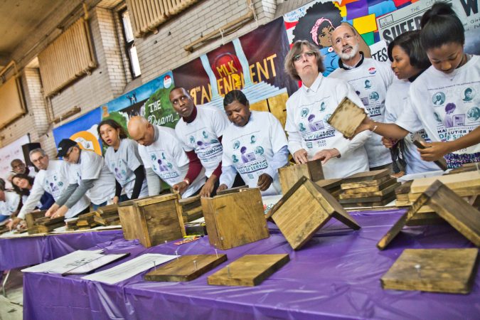 Government officials, including Pa. governor Tom Wolf, build census boxes at the MLK Day of Service at Philadelphia’s Girard College. (Kimberly Paynter/WHYY)