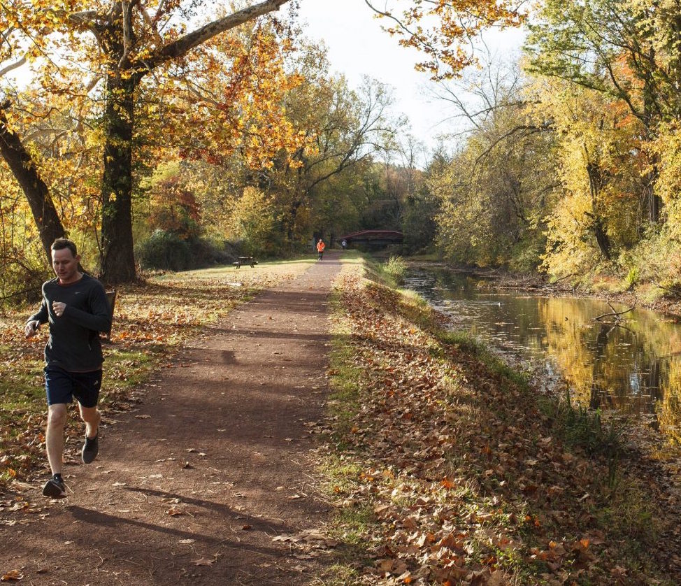 AP_440572050723-e1579135190741-1920×888 A person runs on a pathway surrounded by trees.